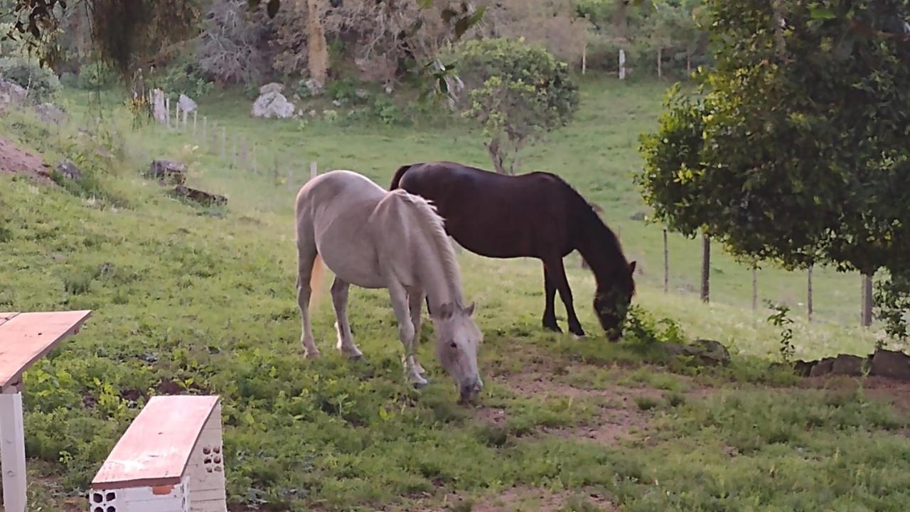 Villa Casa & Chale Em Morro Redondo Rs Esterno foto
